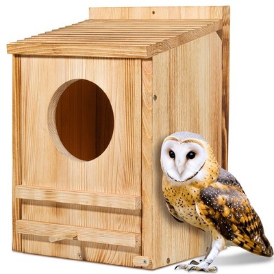 barn owl nesting box