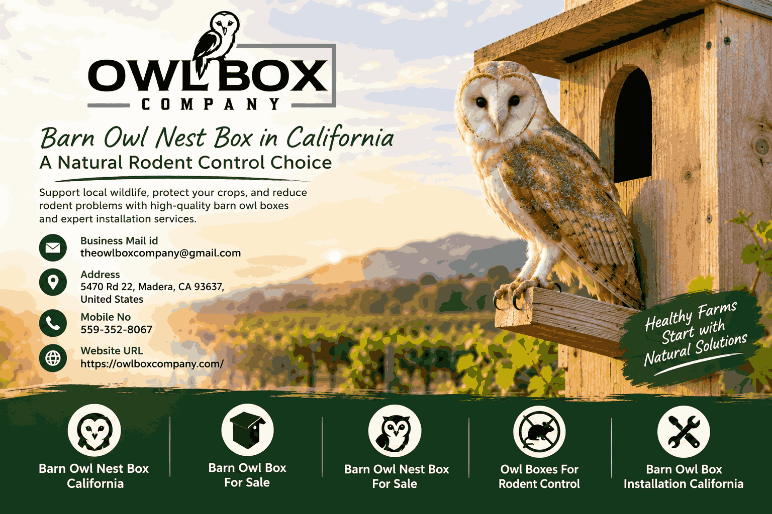 Barn Owl Nest Box in California: A Natural Rodent Control Choice